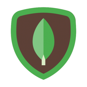 mongodb-img
